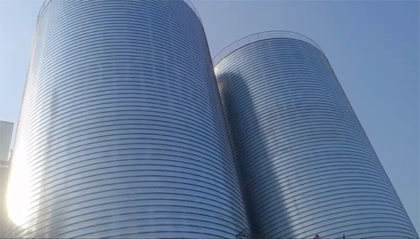 博罗2座混凝土高架卷板仓